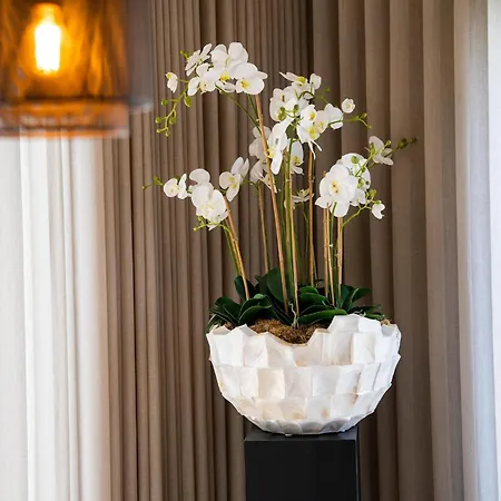 Cozy And Attractive With Garden Hamont-Achel